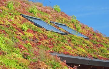 Havering Atte Bower living roof systems